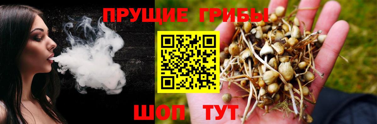 наркошоп  Псилоцибиновые грибы MAGIC MUSHROOMS  Вход с VPN  Соликамск 